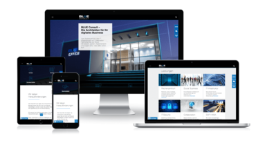 Betreuung der TYPO3 Homepage für BLUE Consult GmbH Betreuung der TYPO3 Homepage für BLUE Consult GmbH