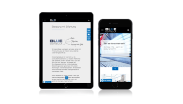 Betreuung der TYPO3 Homepage für BLUE Consult GmbH Betreuung der TYPO3 Homepage für BLUE Consult GmbH